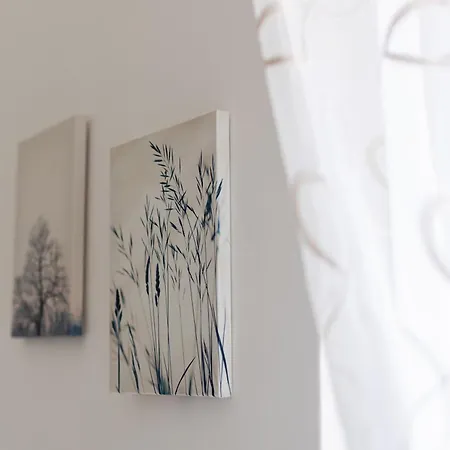 House Niko T With 6 *