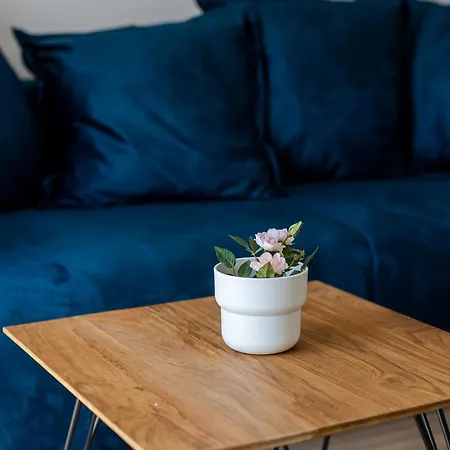 Apartamento House Niko T With 6 Split