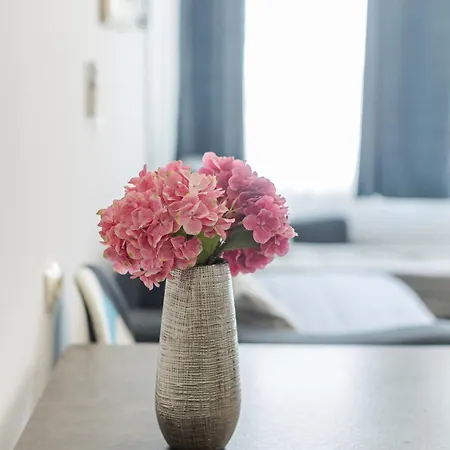 Apartamento House Niko T With 6 Split