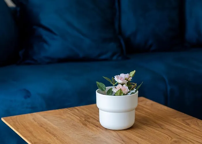 Apartment House Niko T With 6 Split